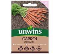 Unwins Carrot Pittsburgh Easy To Grow Seeds