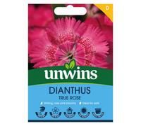 Unwins Dianthus True Rose Easy To Grow Seeds