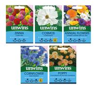 Unwins Easy Annuals Seed Bundle for Beginners