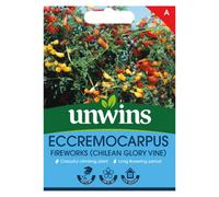 Unwins Eccremocarpus Easy To Grow Seeds