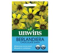 Unwins Flower Seeds - Berandiera Chocolate Daisy