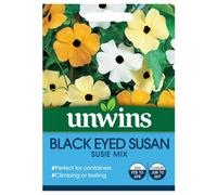 Unwins Flower Seeds - Black Eyed Susan Susie Mix