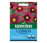 Unwins Flower Seeds - Cosmos Antiquity