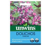 Unwins Flower Seeds - Dolichos Lablab