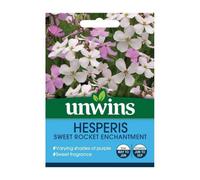 Unwins Flower Seeds - Hesperis Sweet Rocket Enchantment