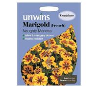 Unwins Flower Seeds - Marigold French Naughty Marietta
