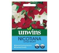 Unwins Flower Seeds - Nicotiana Little Nicky