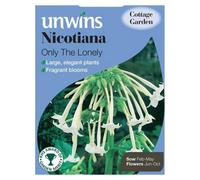 Unwins Flower Seeds - Nicotiana Only The Lonely