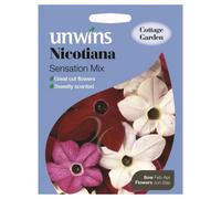 Unwins Flower Seeds - Nicotiana Sensation Mix