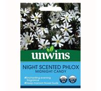 Unwins Flower Seeds - Night Scented Phlox Midnight Cand