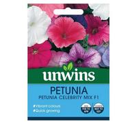 Unwins Flower Seeds - Petunia Celebrity Mix F1