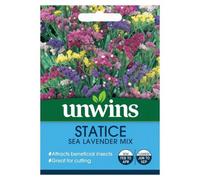 Unwins Flower Seeds - Statice Sea Lavender Mix