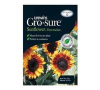 Unwins Flower Seeds - Sunflower Firecracker F1