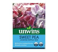 Unwins Flower Seeds - Sweet Pea Unwins Ripple Mix