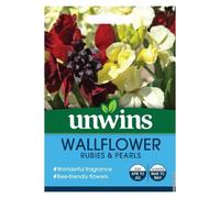 Unwins Flower Seeds - Wallflower Rubies & Pearls