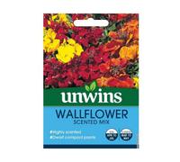 Unwins Flower Seeds - Wallflower Scented Mix