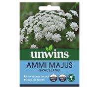 Unwins Grow Your Own Ammi Majus Graceland White Lacy Flowers Seeds