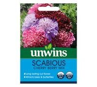 Unwins Grow Your Own At Home Scabious Cherry Berry Mix Flower Seeds