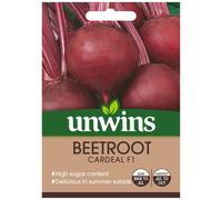 Unwins Grow Your Own Beetroot Cardeal F1 Vegetable Seeds