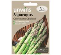Unwins Grow Your Own Connovers Colossal Asparagus Vegetable Seeds