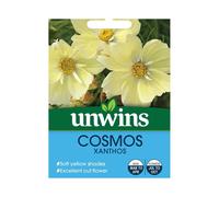 Unwins Grow Your Own Cosmos Xanthos Soft Yellow Shades Flower Seeds