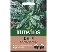 Unwins Grow Your Own Kale Cavolo De Nero High Yielding Vegetable Seeds