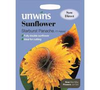 Unwins Grow Your Own Starburst Panache F1 Sunflower Flower Seeds