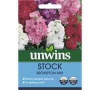 Unwins Grow Your Own Stock Brompton Mix Flower Seeds