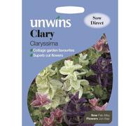 Unwins Grow Your Own Strong Clary Claryssima Attractive Flower Seeds