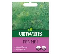 Unwins Herb Fennel Easy To Grow Seeds