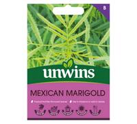 Unwins Herb Mexican Marigold Easy To Grow Seeds