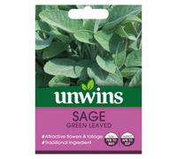Unwins Herb Sage Green Leaved Easy To Grow Seeds