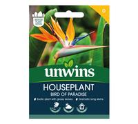 Unwins Houseplant Bird Of Paradise (Strelitzia Reginae)