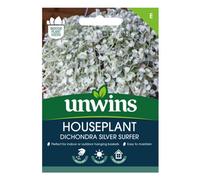 Unwins Houseplant Dichondra Silver Surfer