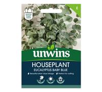 Unwins Houseplant Eucalyptus Baby Blue