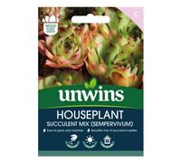 Unwins Houseplant Succulent Mix (Sempervivum)