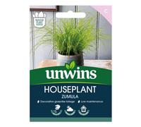 Unwins Houseplant Zumula Easy To Grow Seeds