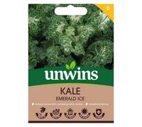 Unwins Kale Emerald Ice Easy To Grow Seeds