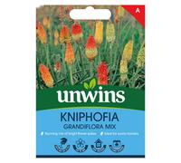 Unwins Kniphofia Grandiflora Mix Easy To Grow Seeds