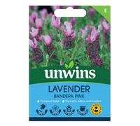 Unwins Lavender Bandera Deep Pink Easy To Grow Seeds