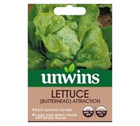 Unwins Lettuce (Butterhead) Attraction