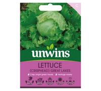 Unwins Lettuce Iceberg Great Lakes Easy To Grow Seeds