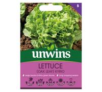 Unwins Lettuce Oak Leaf Kyrio Easy To Grow Seeds