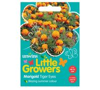 Unwins Little Growers Marigold Tiger Eyes