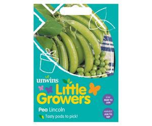 Unwins Little Growers Pea Lincoln Easy To Grow Seeds