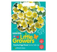Unwins Little Growers Poached Egg Flower Sunnyside