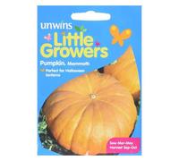 Unwins Little Growers Seeds Pumpkin Mammoth