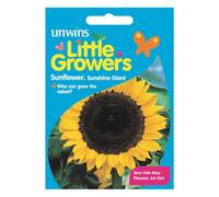 Unwins Little Growers Seeds Sunflower Sunshine Giant
