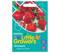 Unwins Little Growers Strawberry Easy To Grow Seeds