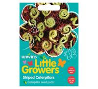 Unwins Little Growers Striped Caterpillars